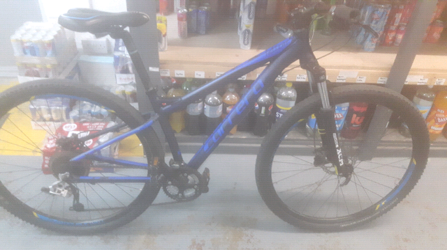 carrera bikes adults